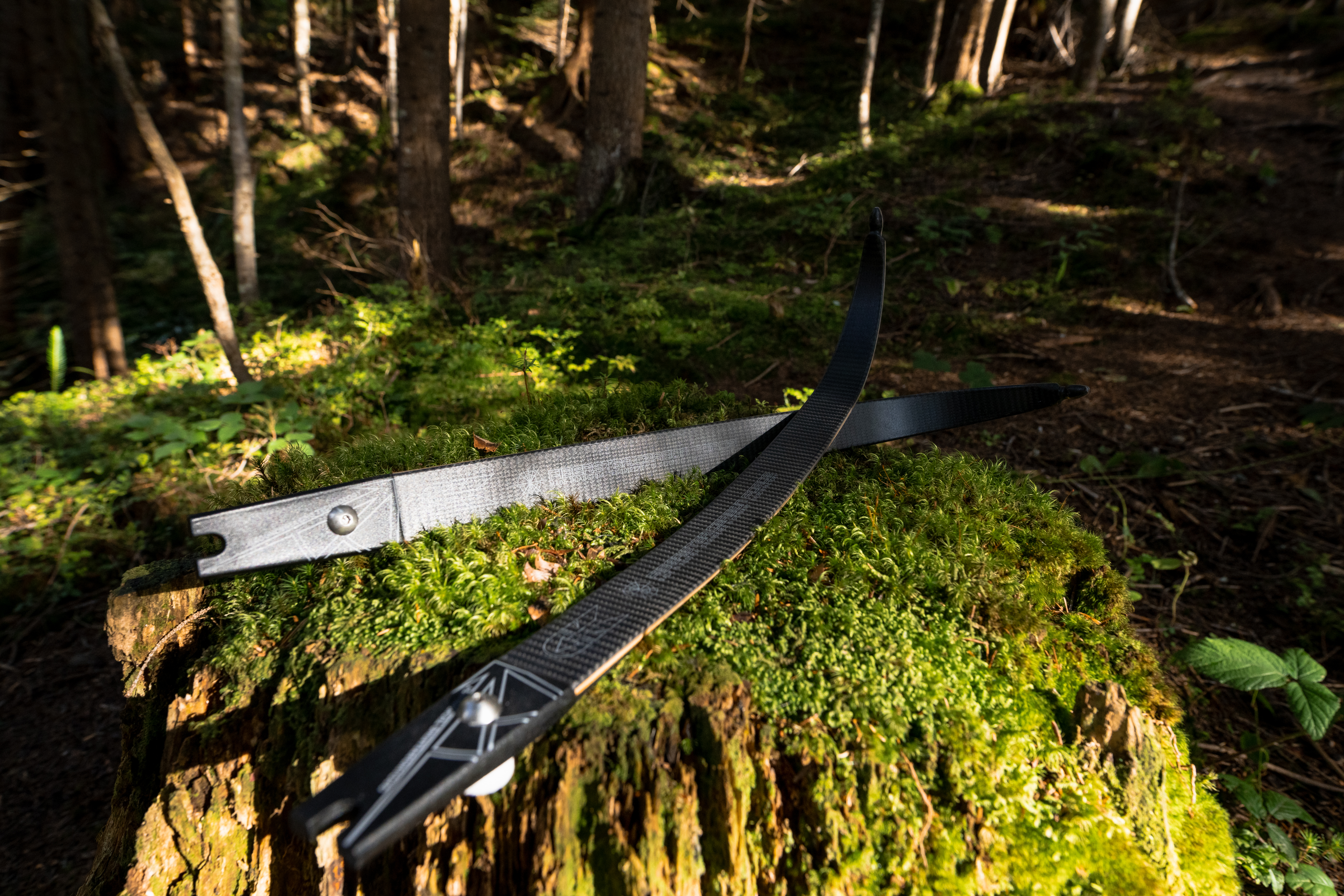 DK Fiberstar Carbon Force